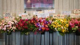 森口博子コンサートの祝い花