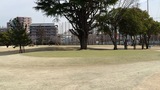 東宝調布スポーツパーク ゴルフコース