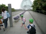 葛西臨海水族園に向かうnne