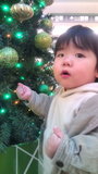 ラゾーナ川崎のクリスマスツリーとknk