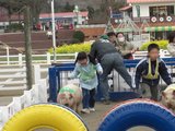 こぶたのレースに参加するnne