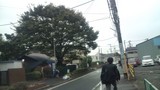 台風18号 雨上がりの風景