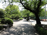 DSC-HX5Vの画像 緑