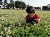 城南島海浜公園でのknk