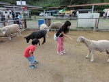 こども動物園でのnneとknk