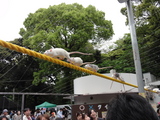 野毛山動物園のねずみ