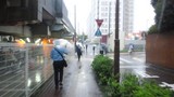 台風の中帰る人々