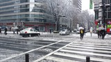 神奈川に降った雪