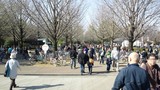 大賑わいの光が丘公園