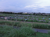 多摩川河川敷で花火を待つ人々