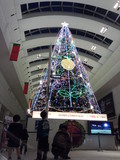 クイーンズスクエアのクリスマスツリー