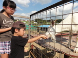 ドイツ村のこども動物園のヤギにエサをあげるnneとknk