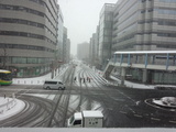 朝の神奈川の雪景色