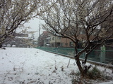 神奈川朝7時の雪景色