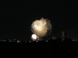 多摩川の花火