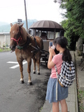 湯布院の辻馬車