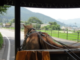 湯布院の辻馬車を撮影するnne