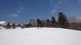 富良野スキー場を滑るknk