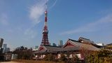 昼の東京タワー