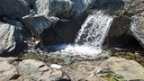 世田谷区立二子玉川公園の帰真園