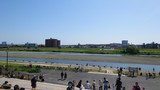 多摩川の景色