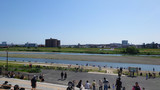 多摩川の景色
