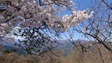 小河内ダムの風景