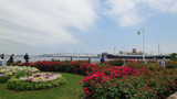 橫浜山下公園の風景