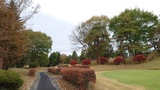 昭和の森ゴルフ場