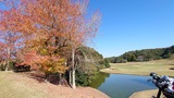 ベルセルバカントリークラブ市原コース 楓ホール3付近の紅葉と桜ホール7の池