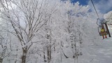 かぐらスキー場の樹氷