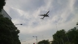 京浜島つばさ公園近辺で着陸しようとする飛行機