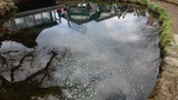忍野八海